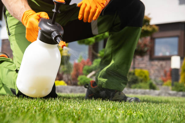 Best Insect Control  in Orfordville, WI
