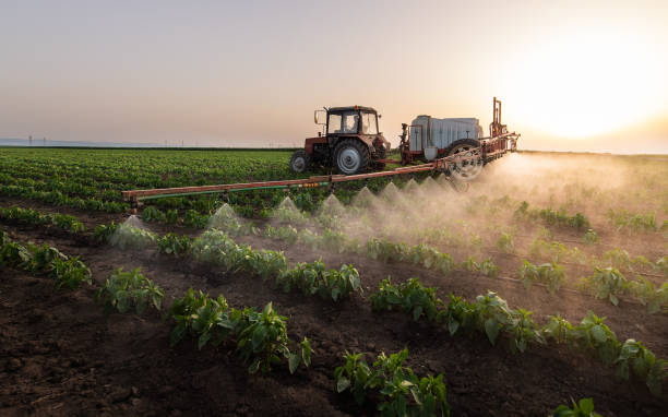 Best Pest Removal Services  in Orfordville, WI