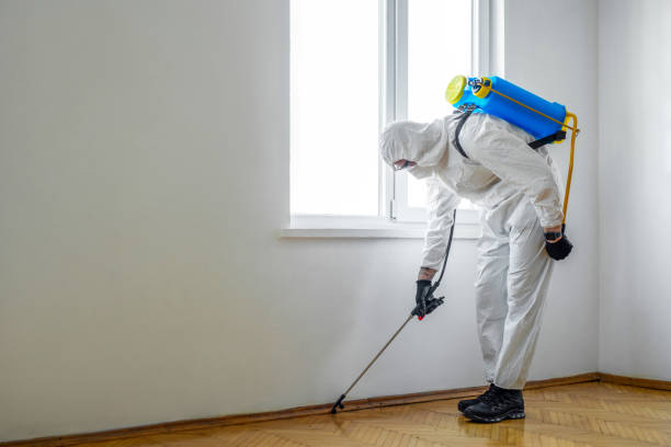 Best Wildlife Control Services  in Orfordville, WI