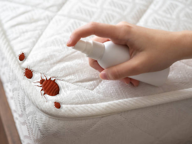 Best Residential Pest Control  in Orfordville, WI