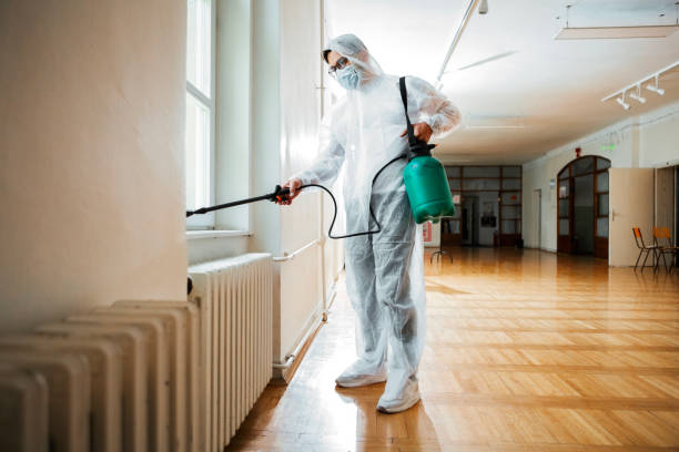 Best Ant Control Services  in Orfordville, WI