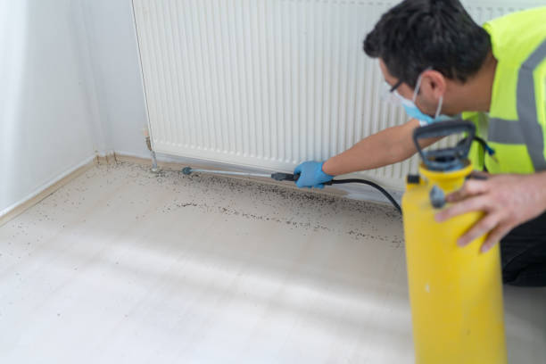 Best Flea Control Services  in Orfordville, WI